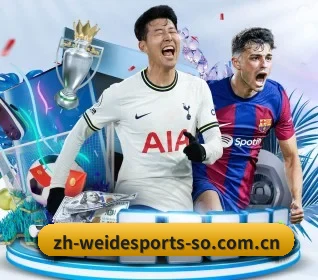 伟德体育 APP(WEIDE SPORTS)